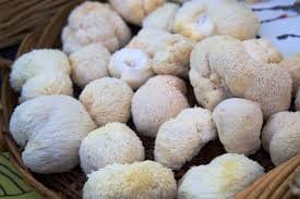 What Are Nootropic Mushrooms? (+ 8 Ways to Have Them Daily)