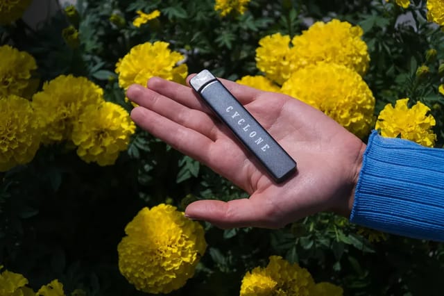 13 Best Small Vapes of 2026: Features, Price