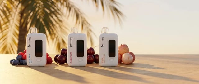 Gust Core vs Gust Pro: Which Should You Buy?