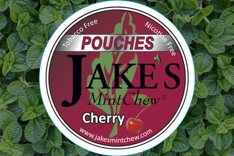 Jake's Mint Chew nicotine-free pouches